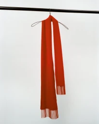Red wool scarf with fringed ends hanging from a wire hanger on a black clothing rail against a white wall.
