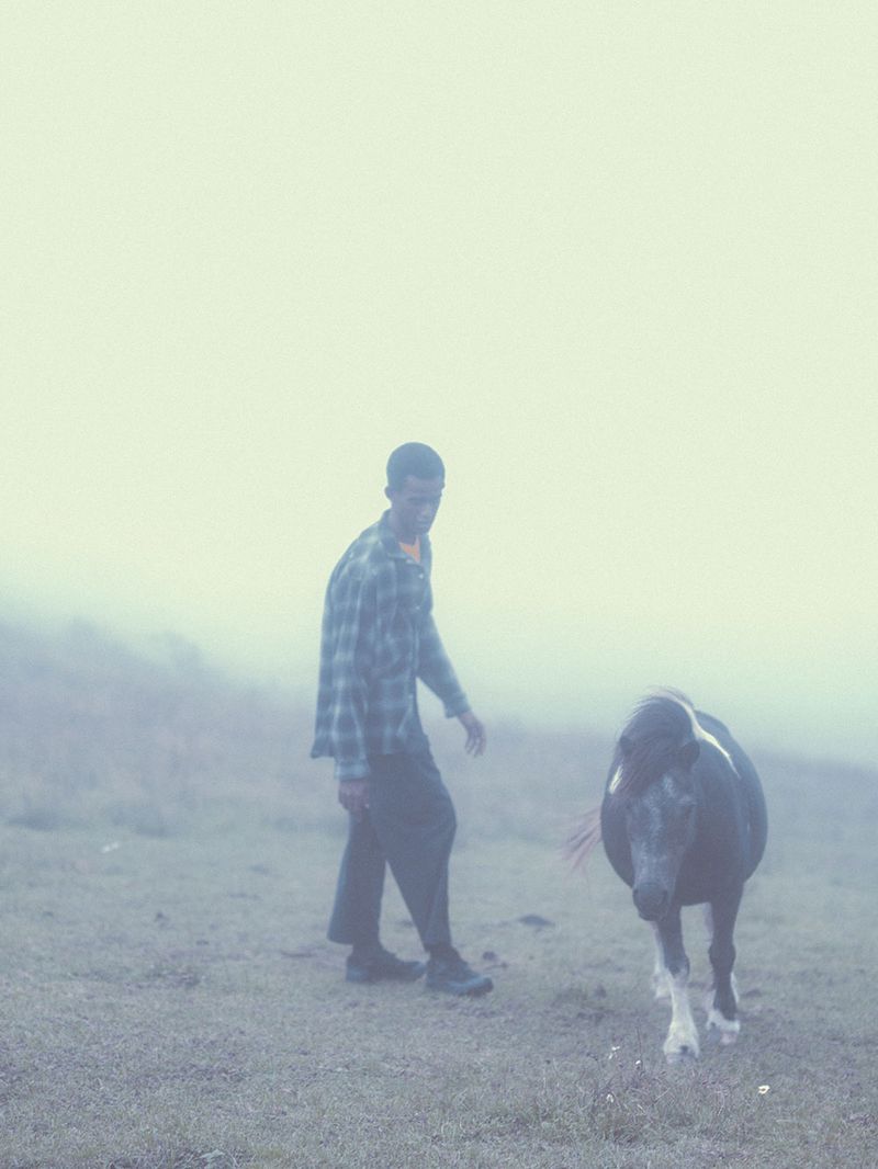 Man walks with a pony through foggy rural field. Soft diffused lighting creates a dreamlike atmosphere, enhancing natural beauty and tranquility.