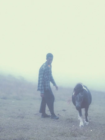 Man walks with a pony through foggy rural field. Soft diffused lighting creates a dreamlike atmosphere, enhancing natural beauty and tranquility.