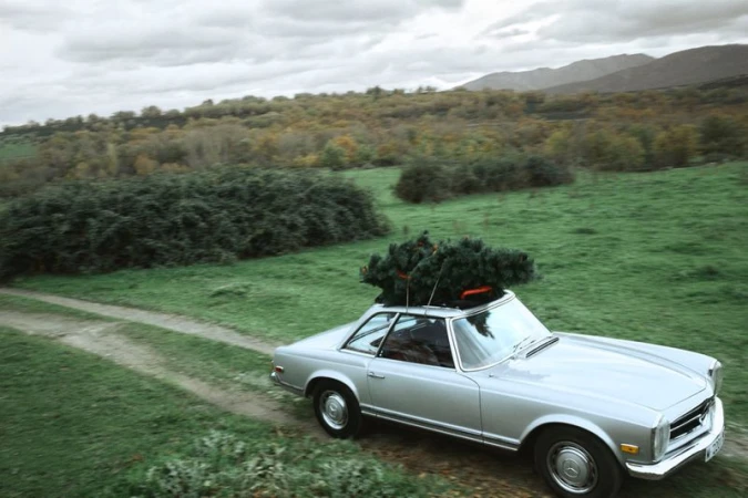 Silver vintage car transports a Christmas tree on its roof through a grassy field beneath a cloudy sky in a rural setting.