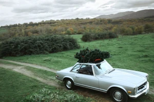 Silver vintage car driving on a dirt road through a green landscape with a Christmas tree strapped to the roof.