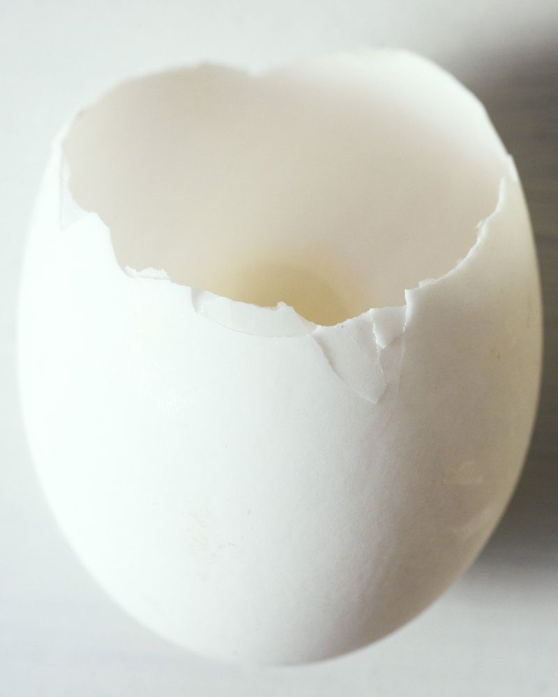 Close-up studio shot of a cracked white eggshell against a white background showcasing texture and fragility in a minimalist composition.