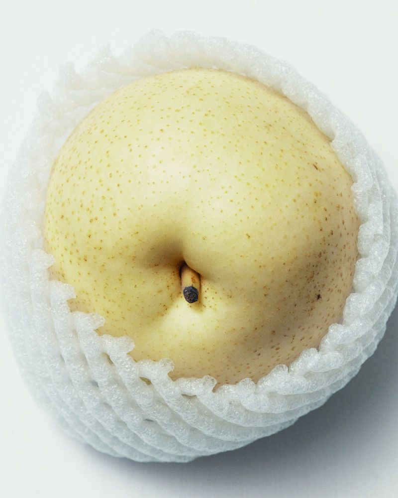 Close-up shot of an Asian pear inside of a white foam net, set against a white background, showcasing its round shape and yellow color.