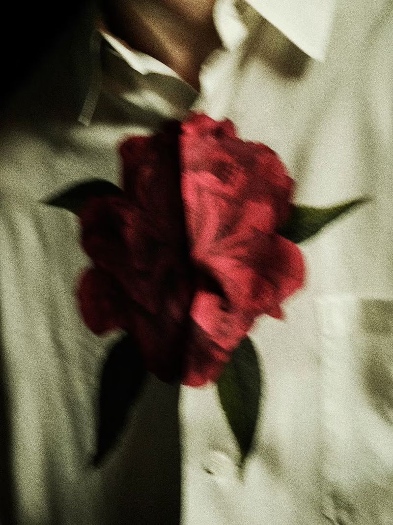 Artistic portrait of a blurred red rose on a white collared shirt, creating an abstract and romantic visual composition.