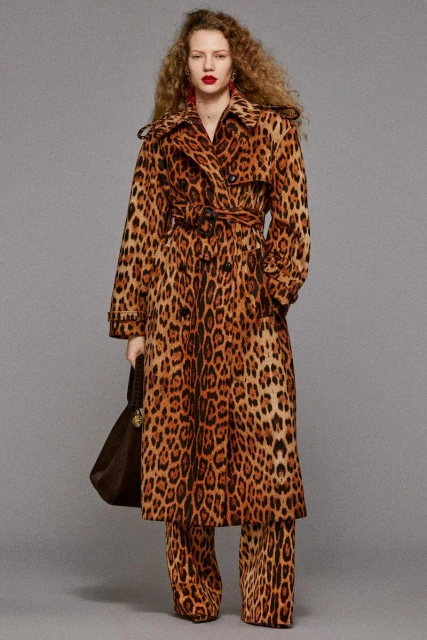 Roberto Cavalli Pre-Fall 2025 Lookbook