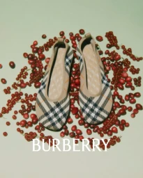Burberry plaid flats resting on loose red berries against a light green background with white text