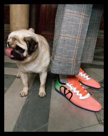 Pug licking its nose next to a person wearing orange sneakers and grey plaid pants indoors on a grey marble floor.