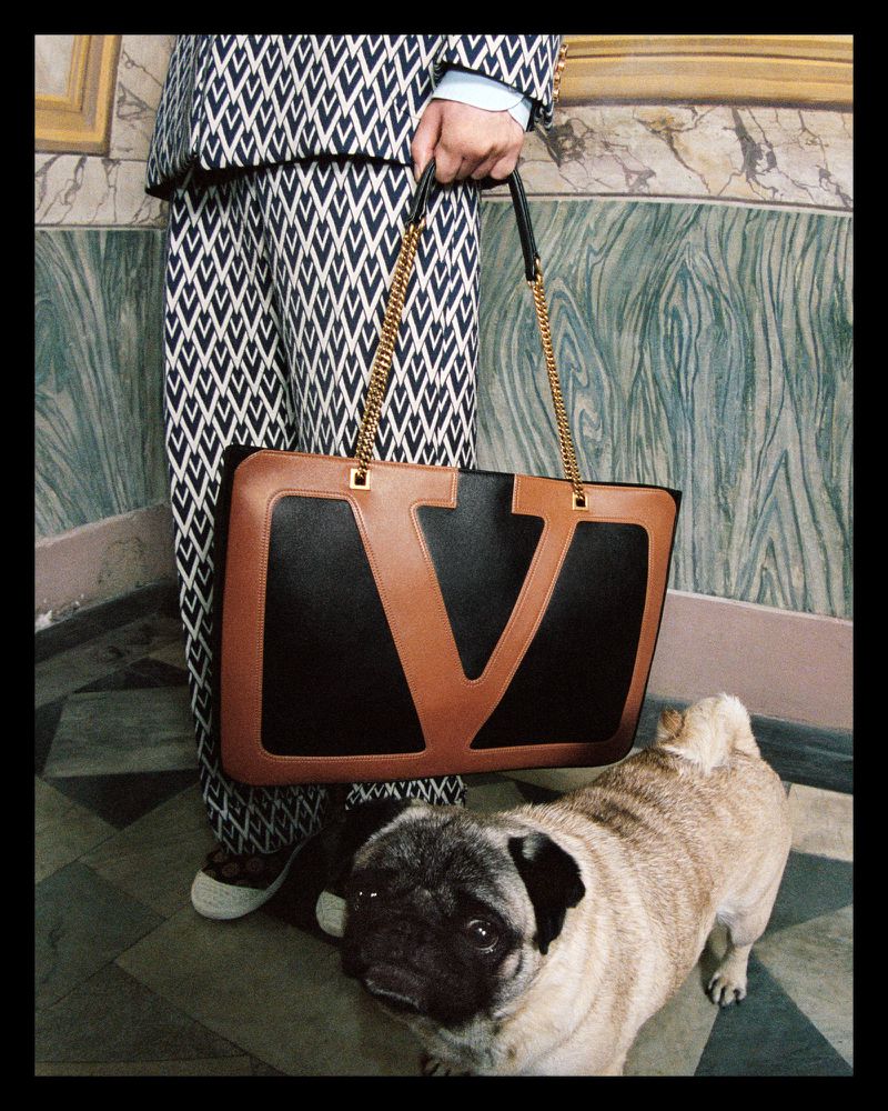 Pug dog next to a Valentino purse held by an adult wearing patterned suit in an indoor environment with architectural elements.