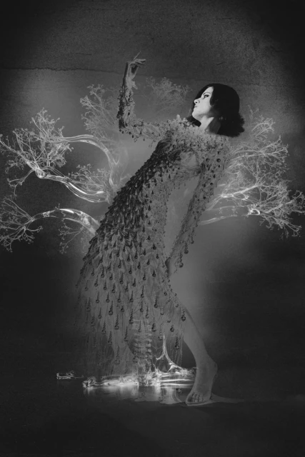 Black and white image of a woman in a beaded dress, posed artistically near a lightened bare tree in a mystical indoor setting.