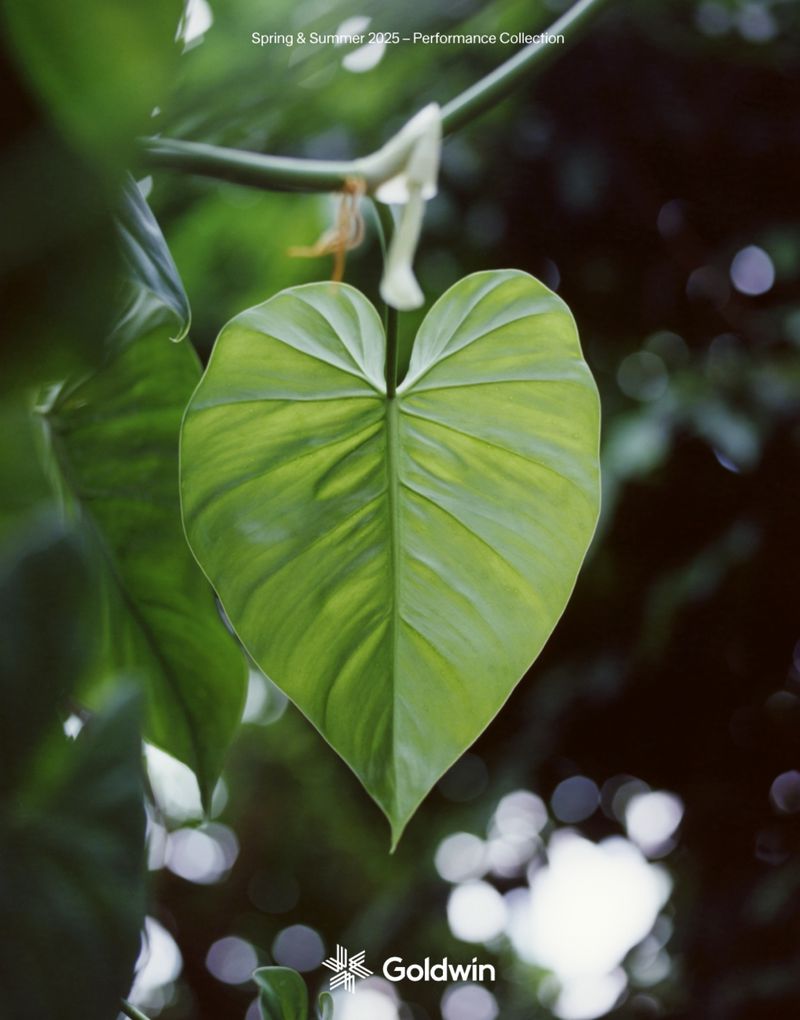 Close-up of a vibrant green leaf with a heart shape hanging on a tree branch in a natural outdoor setting with bokeh background.