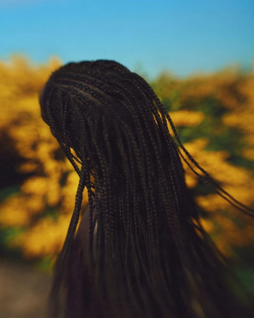 Close-up of a black woman's braided hair against a soft-focus backdrop of yellow flowers and a clear blue sky. Outdoor setting.