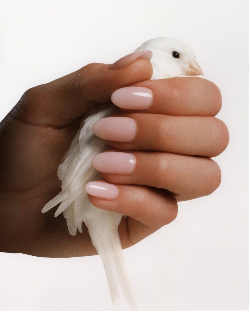 Closeup of a hand with pink manicured nails gently cradling a small white bird against a clean, bright white background in a beauty studio.