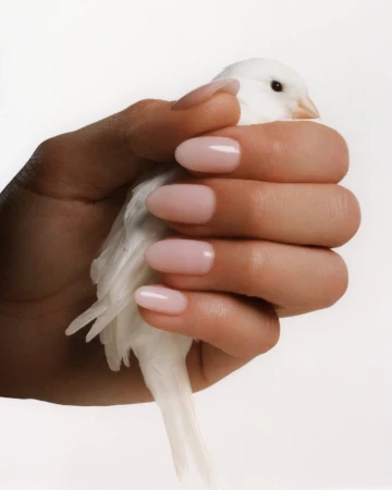 Closeup of a hand with pink manicured nails gently cradling a small white bird against a clean, bright white background in a beauty studio.
