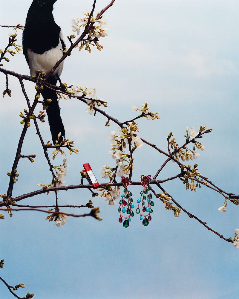 Magpie perched on a flowering branch next to a pair of dangling earrings, set against a soft blue sky backdrop.