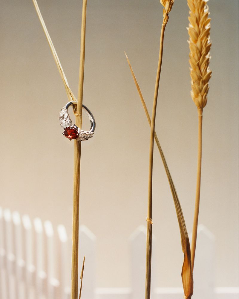 Close-up of a silver ring with red gem on a straw, featuring natural light, elegant design, and neutral background. Jewellery advertisement.