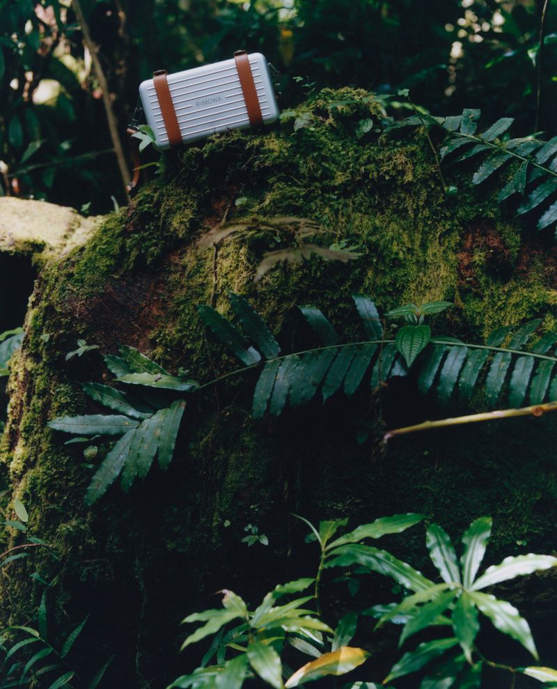Silver and tan suitcase sits atop a moss-covered rock amid lush green foliage in a forest setting, casting a natural, outdoor vibe.
