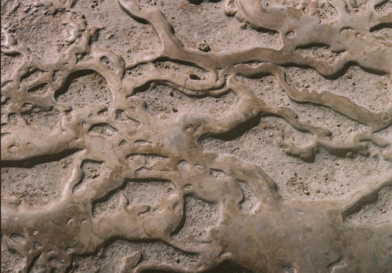 Close-up of a unique natural rock formation with winding, river-like patterns etched into the surface, creating a textured, organic backdrop.