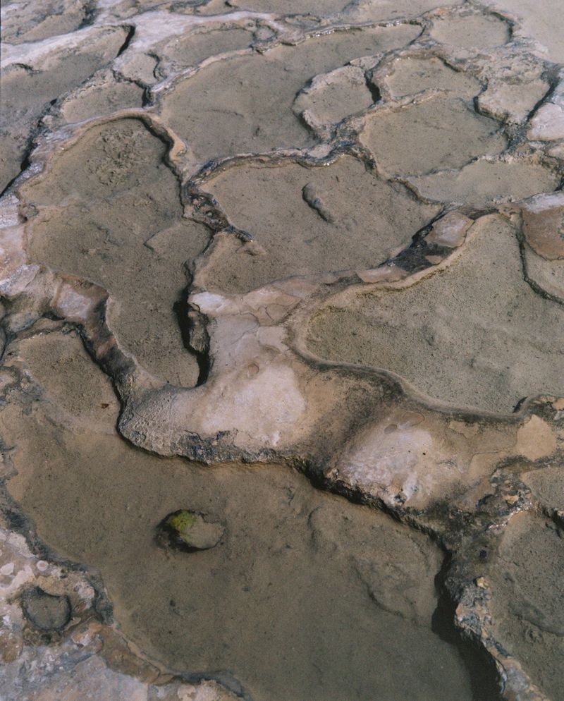 Close-up of stepped travertine terraces filled with shallow, clear water, creating abstract patterns and textures, with muted natural colors.