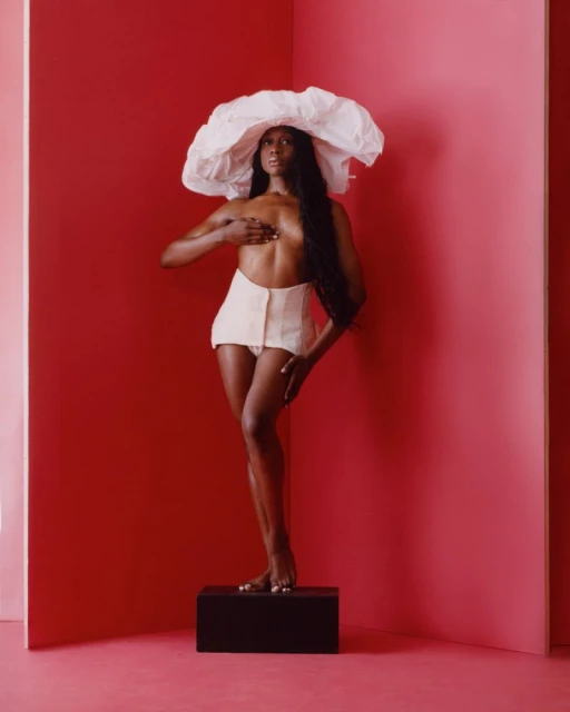 The Fruits We Bear: Portraits of Trans Liberation