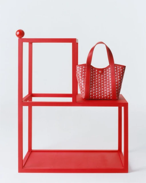 Moynat Duo BB Canvas