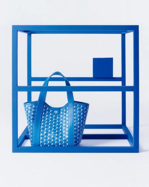 Moynat Duo BB Canvas