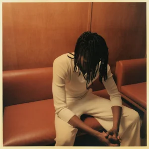 Person with dreadlocks wearing a cream polo shirt seated on an orange leather sofa against wood paneling