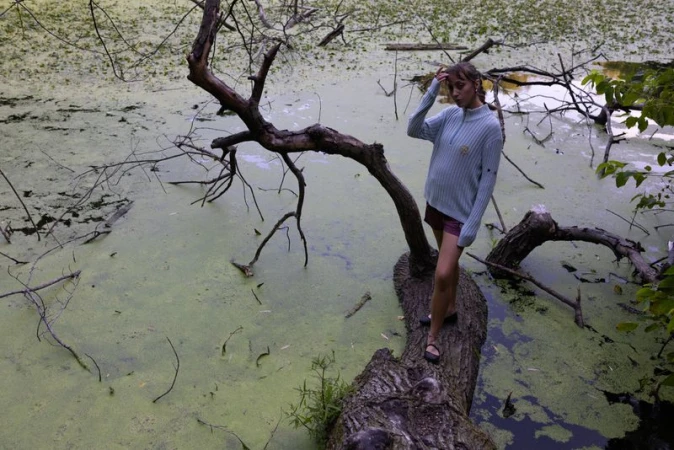 Young woman standing on a fallen tree trunk over a pond with green algae in an outdoor, summertime setting with natural lighting.