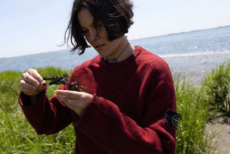 Woman in red sweater examines seaweed on the beach. Calm ocean water and tall green grass in the background. Blue skies overhead.