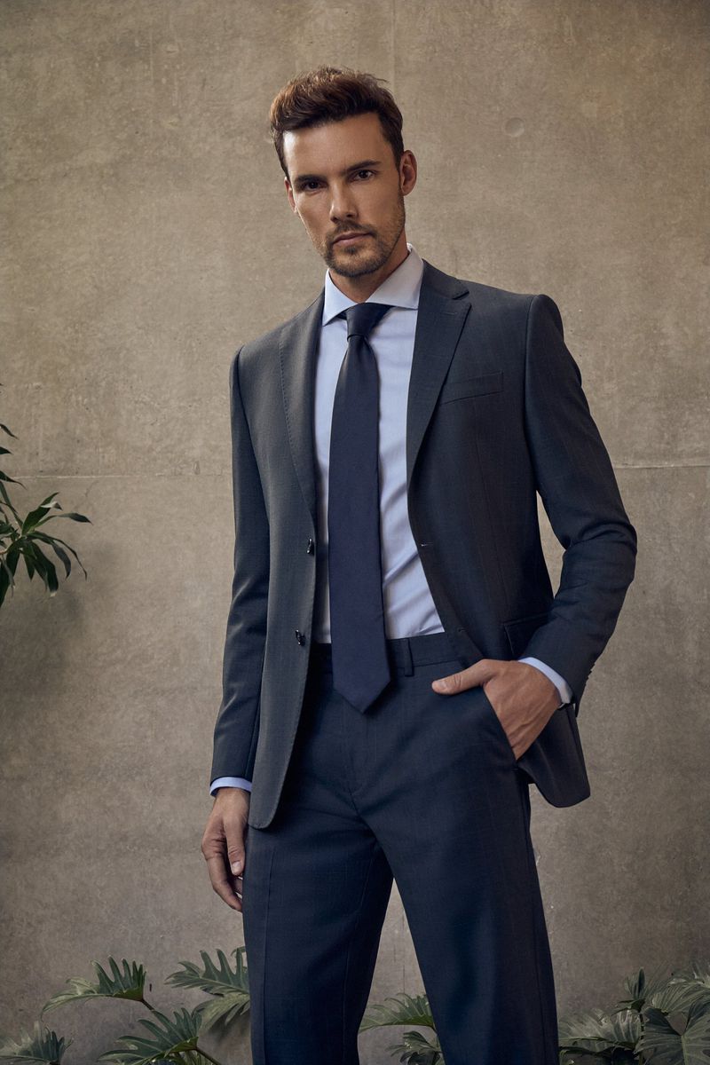 Portrait of an adult male in a dark grey suit, light blue dress shirt, and navy blue tie, posing in front of a neutral wall with greenery.