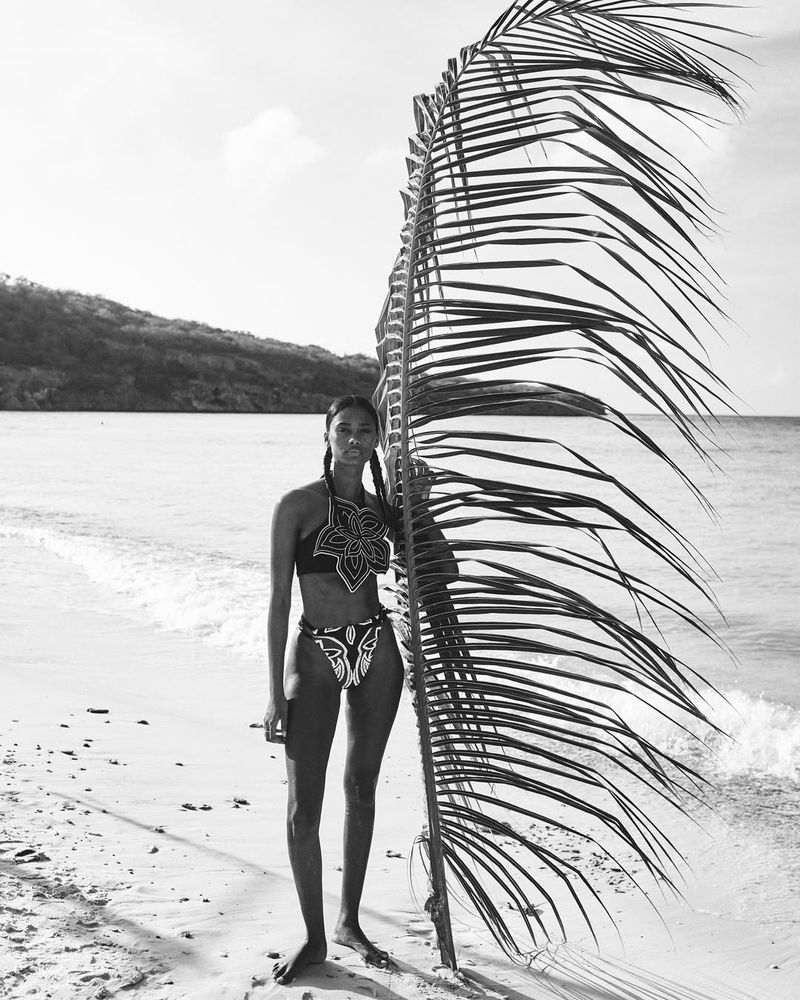 Black and white shot of a woman in swimwear standing on a beach next to a large palm frond with the ocean and a distant shoreline.