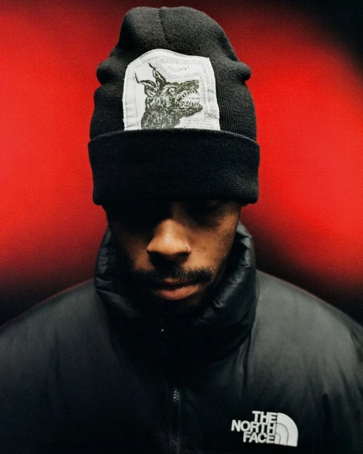 Supreme x The North Face F/W 24