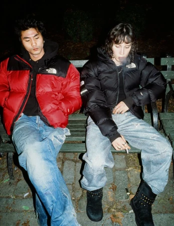Supreme x The North Face F/W 24