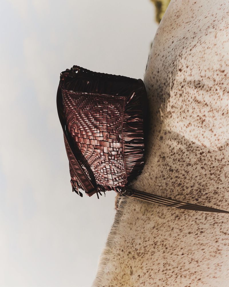 Low-angle shot of a woven brown bag on a white horse with brown spots, set against a light-blue sky and the tip of green vegetation.