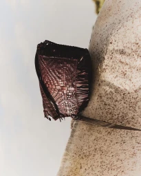 Woven dark brown fringed leather handbag resting against the dappled white body of a horse against a pale sky.