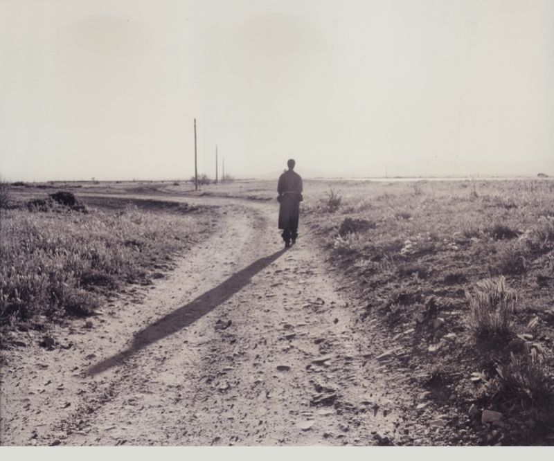 A lone figure walks down a sunlit dirt road cutting through a grassy landscape under a bright sky, creating a stark, long shadow.