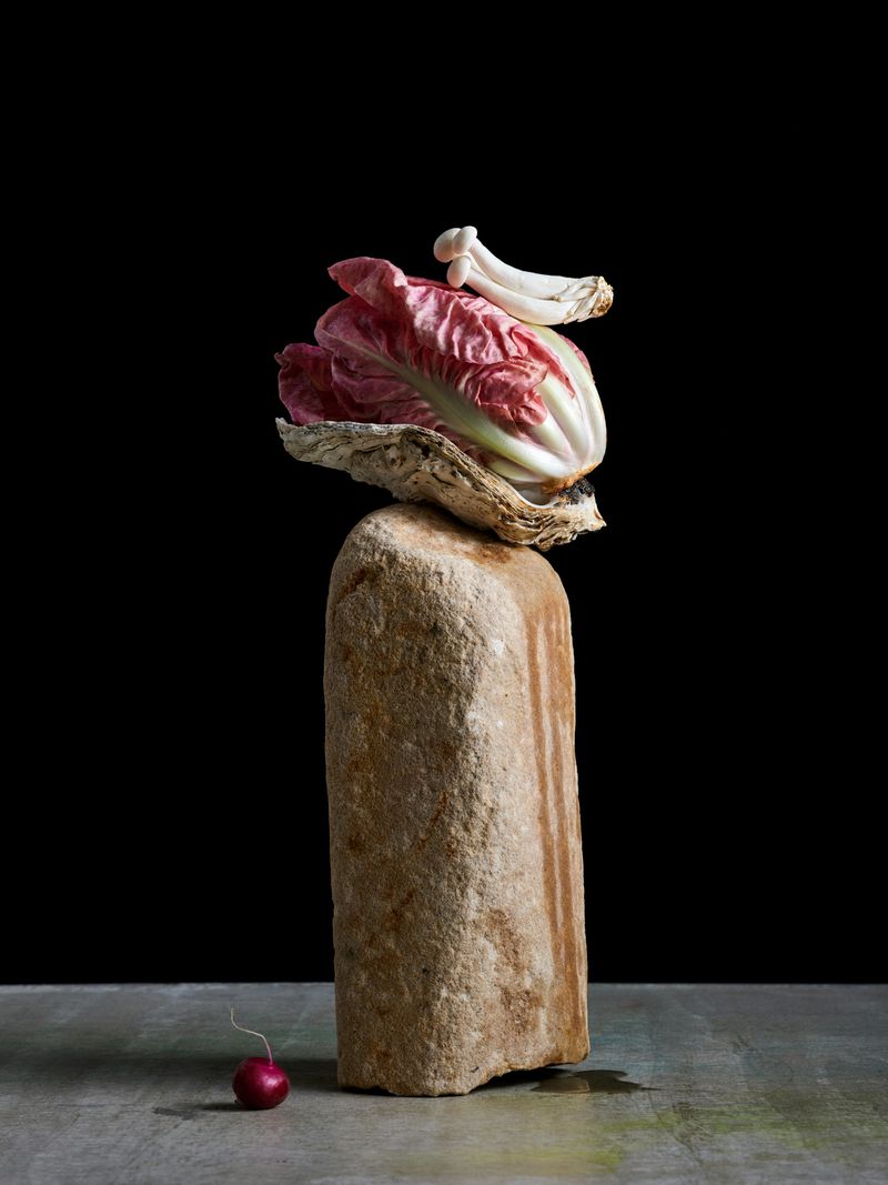 Still life of radicchio, mushrooms and turnip balanced on a stone pedestal, photographed against a dark background.