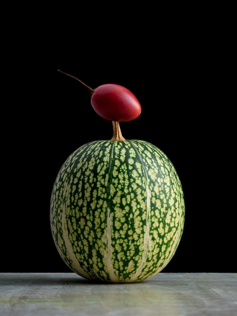 Still life featuring a green and white striped calabash with a red tamarillo fruit balanced on top, against a stark black background.