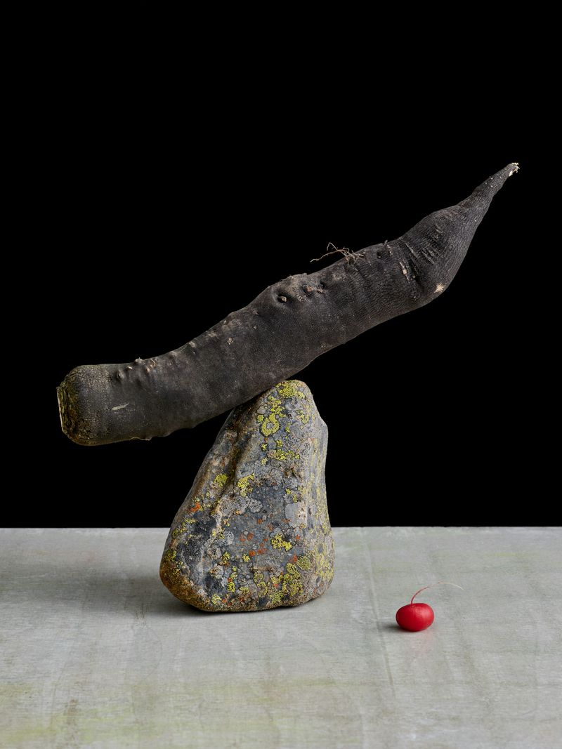 Still life shot of a black radish balanced on a rock, with a red cherry radish on a grey surface against a black background.