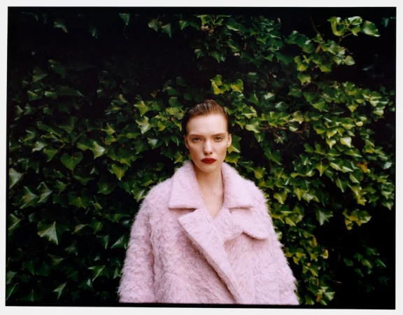Pre-Fall 2024