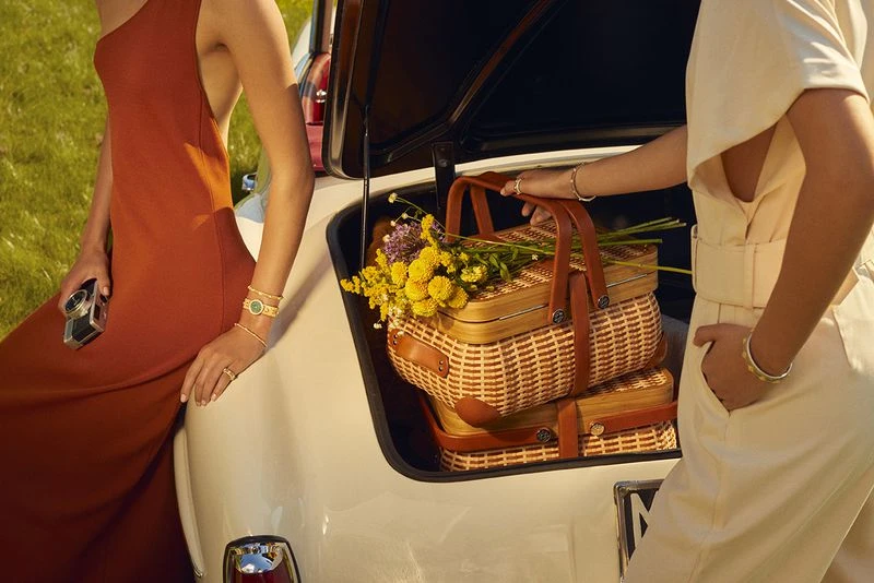 SUMMER PICNIC