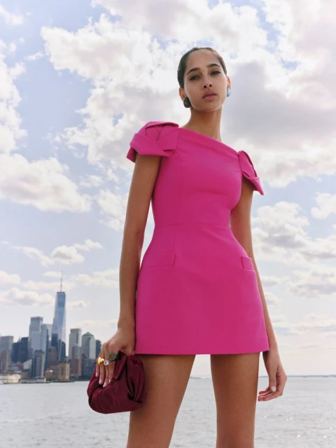 A model in a pink dress poses in front of the New York City skyline with a cloudy sky, holding a maroon-colored clutch.