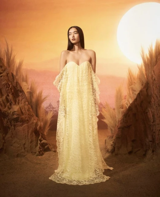 A fashionable Asian woman poses in a yellow, off-the-shoulder lace gown against a warm-toned landscape with rock formations and a sun backdrop.