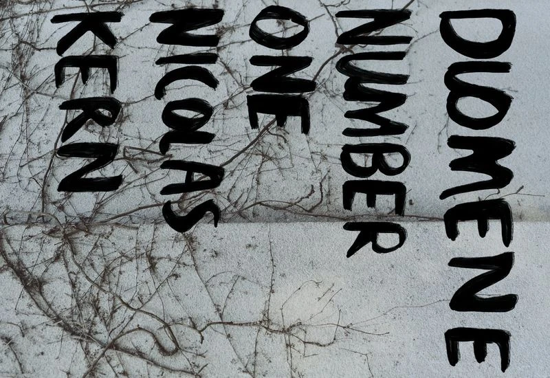 Weathered wall with trailing vines and vertical black text featuring names DIOMENE, NUMBER ONE, NICOLAS, and KERN in an artful design.
