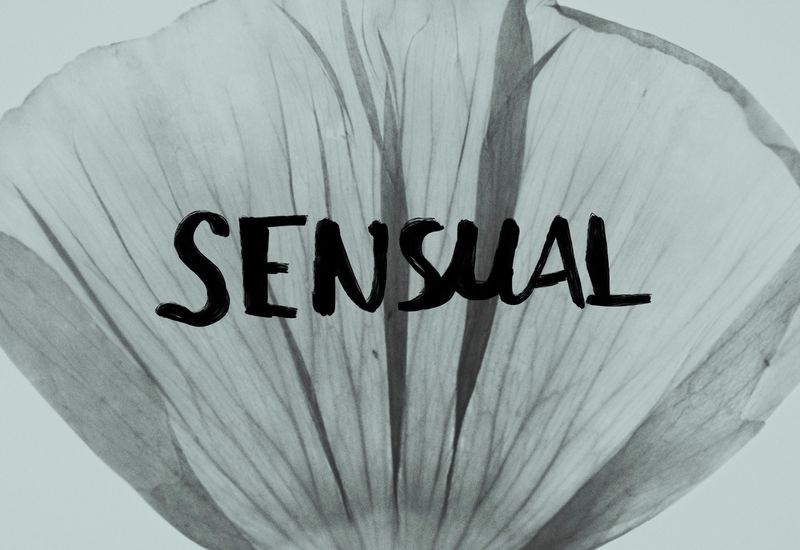 Monochrome image of a translucent flower petal with visible veins, overlaid with the word 'SENSUAL' in bold, black, handwritten-style font.