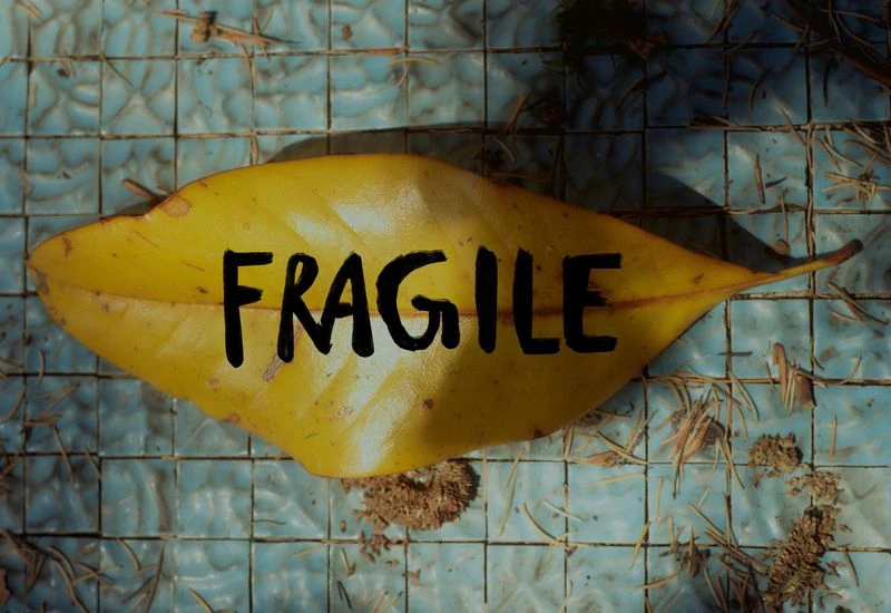 Yellow leaf with 'fragile' text on blue mosaic tiles and scattered foliage detritus. Close-up, eye-level angle.