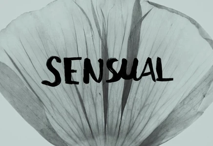 Close-up monochromatic shot of a flower petal with handwritten text reading SENSUAL across the centre.