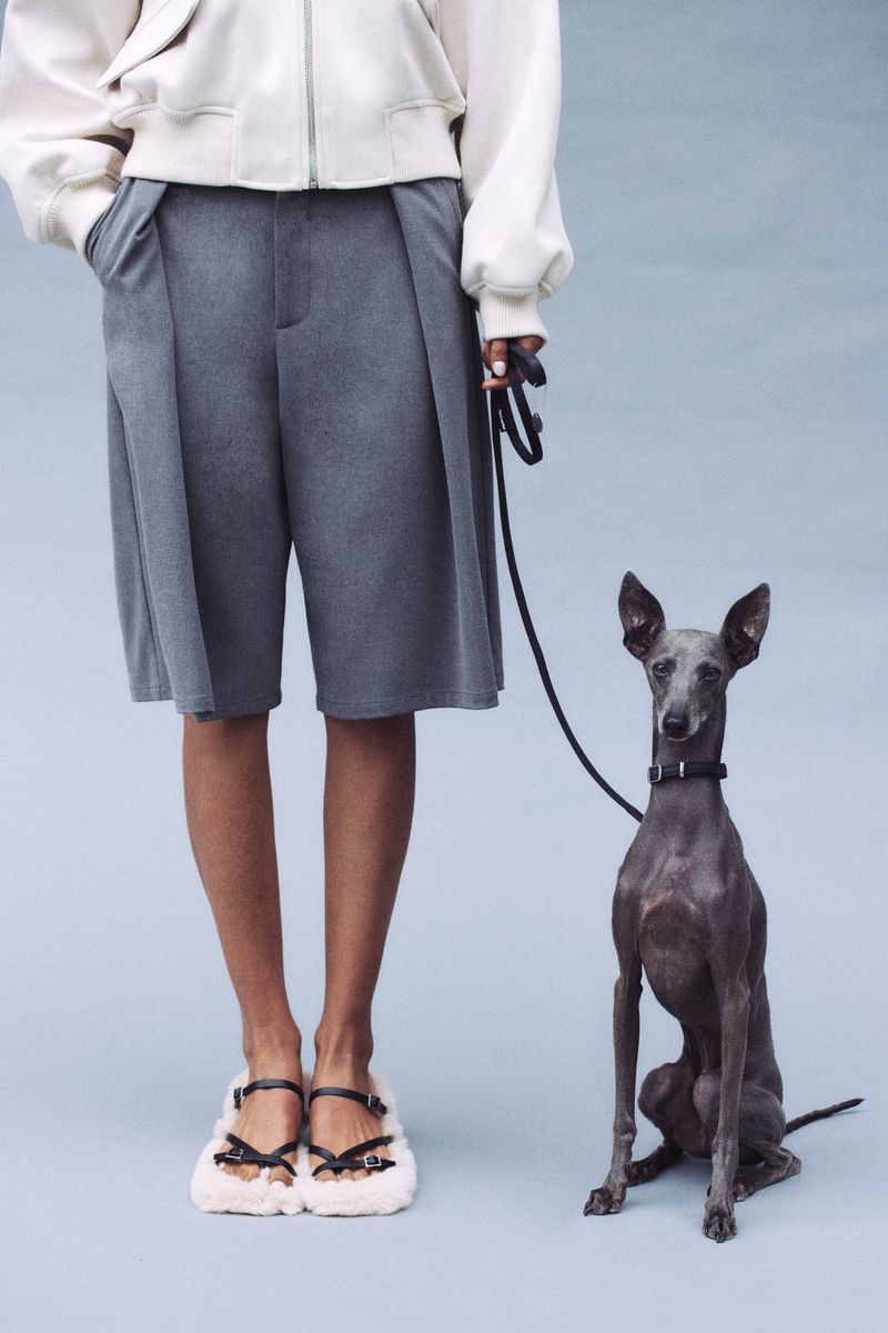 An adult stands next to a grey Italian Greyhound dog on a light blue studio backdrop, showcasing fashion culottes and fluffy shoes.