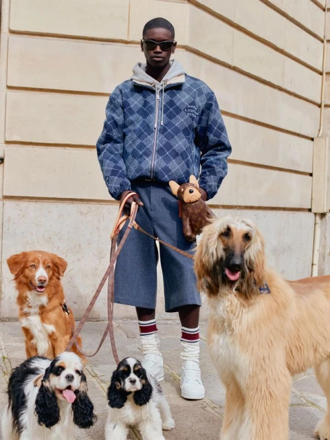 Stylish adult male poses with several dogs of different breeds on city street, wearing a blue jacket, grey hoodie, and sunglasses.