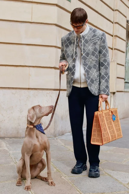 A man in a patterned jacket and sunglasses walks a Weimaraner dog with a bandana outdoors, holding a woven tote bag in hand.