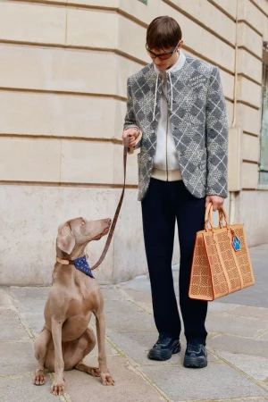Louis Vuitton Resort 2025 Men's Lookbook